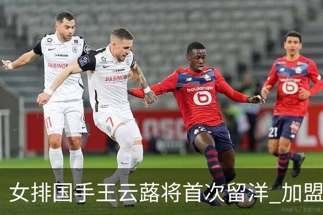 女排国手王云蕗将首次留洋 加盟俄超莫斯科迪纳摩